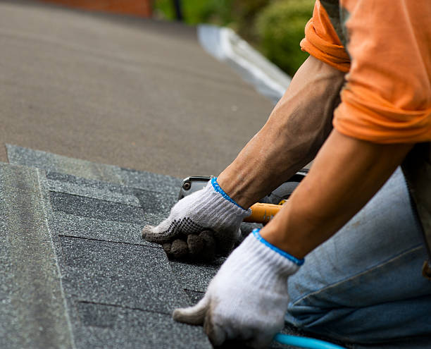 Best Roof Maintenance Services  in Belmont, MS