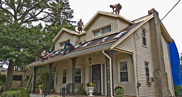 Best Storm Damage Roof Repair  in Belmont, MS